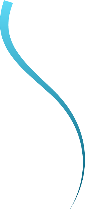 shape 1